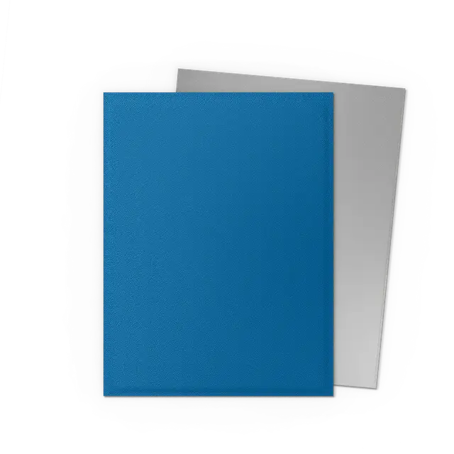 Dragonshield: Cobalt & Silver - Matte Dual Sleeves - Standard Size